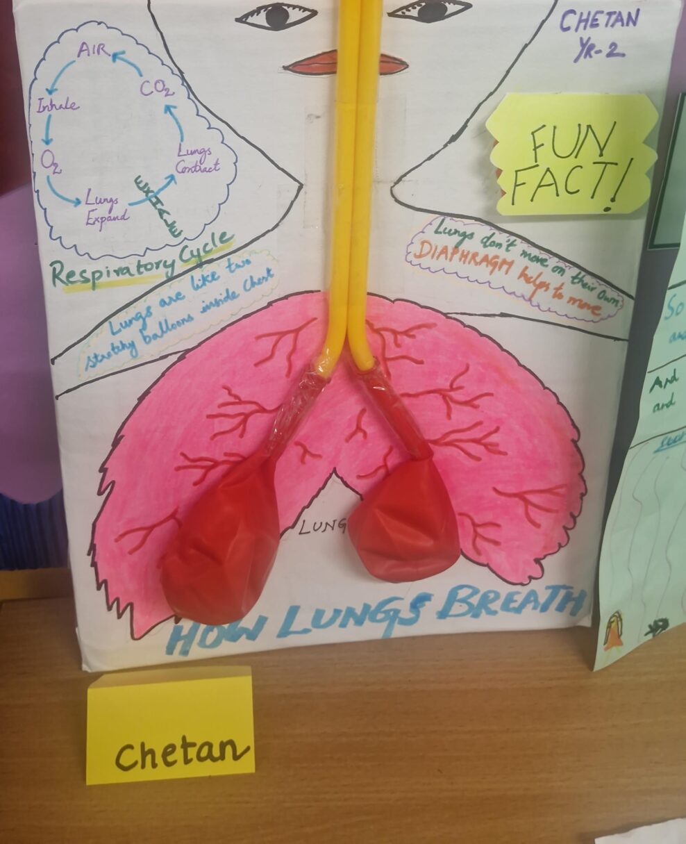 Header image for Half Term Science Projects