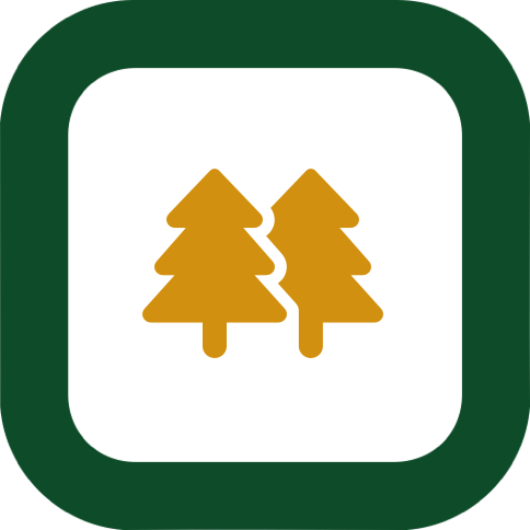 Forest School